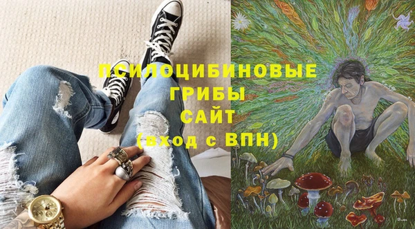гашик Балабаново